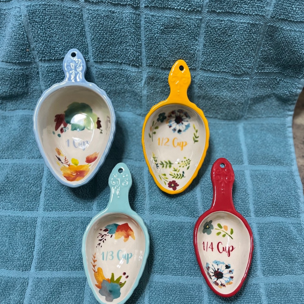 Pioneer Woman Measuring Scoop Set 2017 Willow